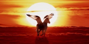Mythological horse with wings Mythological horse with wings