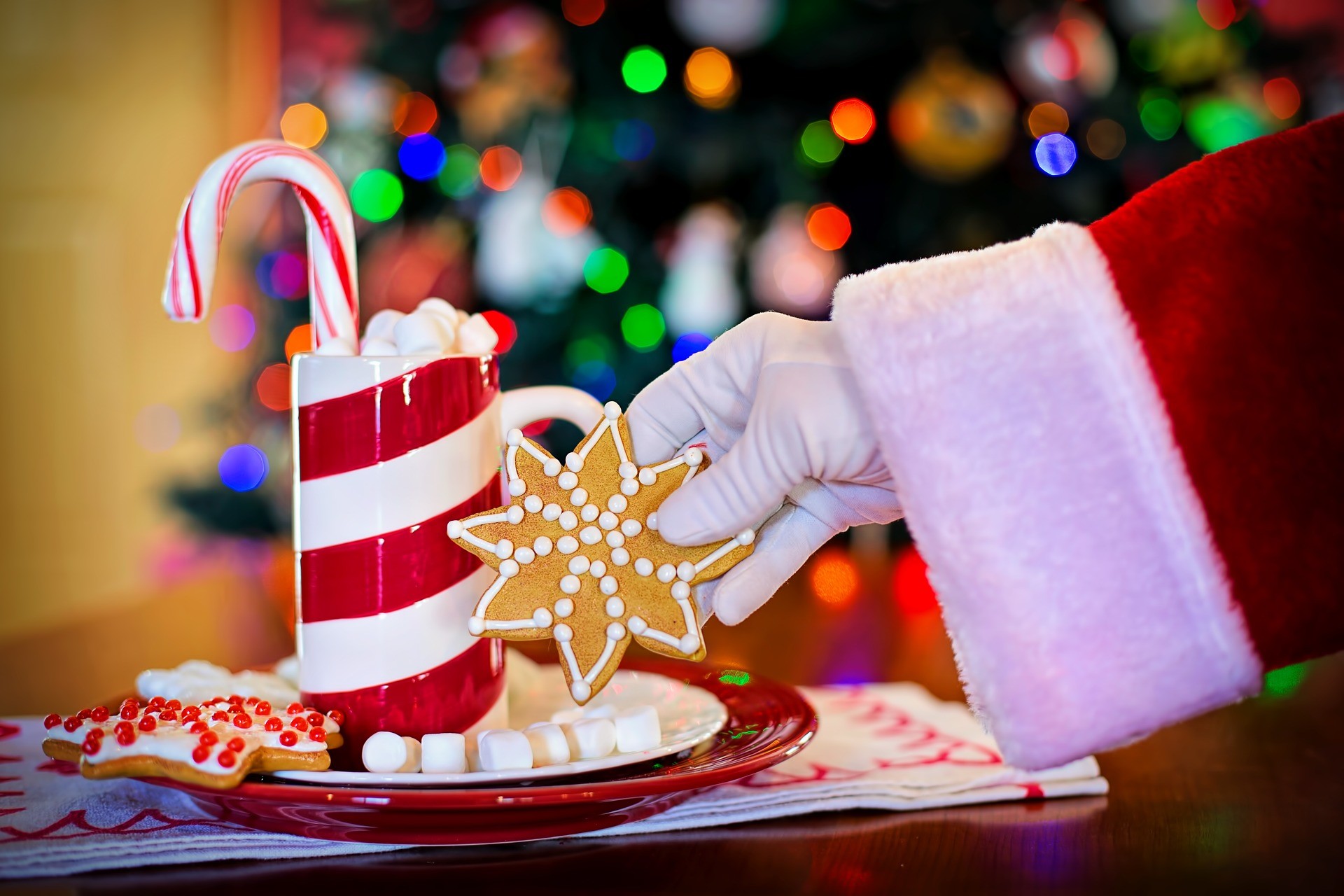 Santas arm hot chocolate Christmas tree and candy cane and cookie