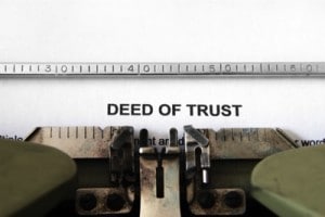 Trust Trust - How can brands make their website trustworthy