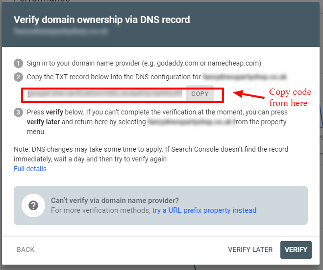 Verify domain name provider