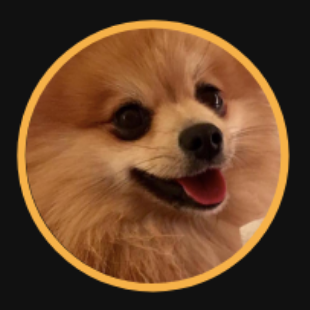 Bertey the Pomeranian dog. Mascot of Bertey Digital Agency